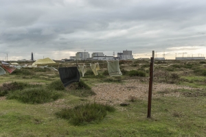 Dungeness122017-1