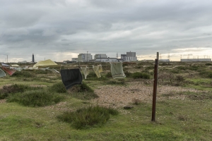 Dungeness122017-1